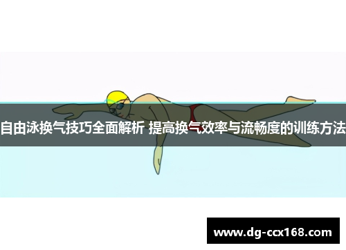 自由泳换气技巧全面解析 提高换气效率与流畅度的训练方法
